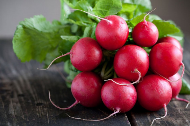 7 Vertus et bienfaits du radis rouge - FemininBio