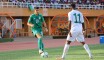 Qualifs coupe du monde 2022:  Niger 0 - Algérie 4
