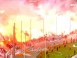 Ambiance de folie lors du match PAOK-Olympiacos